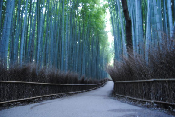 京都の「竹林の小径」。素晴らしい観光スポットも個性的な写真は撮れない。
