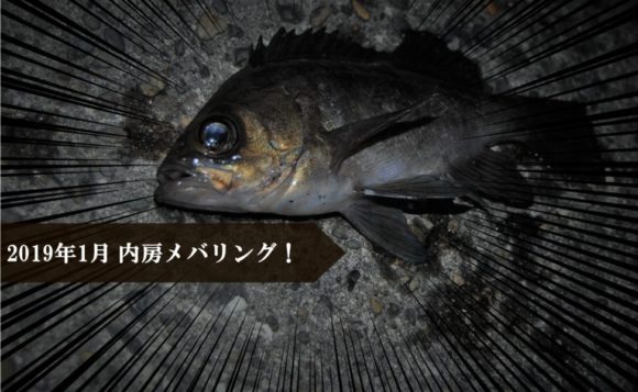 19年メバリング 千葉県内房 魚影は濃いが冬の房総は極寒