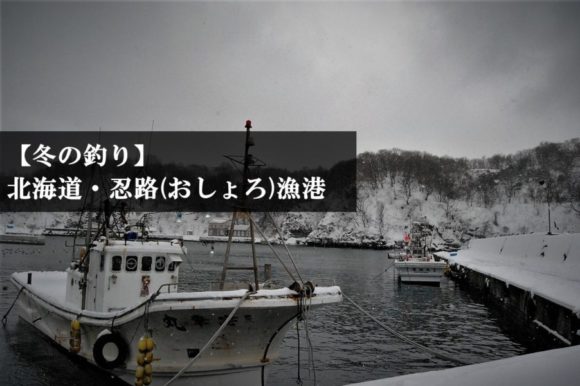 北海道小樽市・忍路(おしょろ)漁港で穴釣りは通用する？鶴亀温泉‗冬の釣り‗ブラクリ (キャッチアイ)