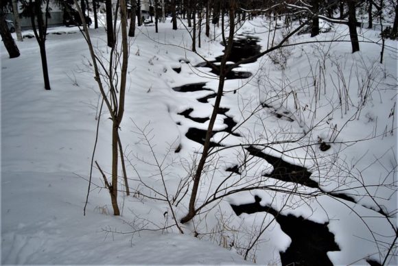 精進川の上の雪。幾何学的な模様にドキリとしました。