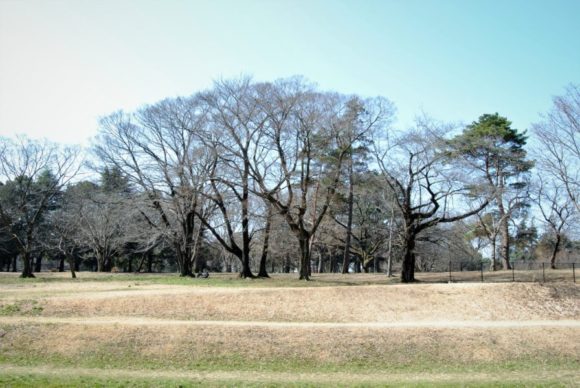 ゴルフ場の名残りを感じる野川公園。