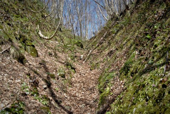 谷間に枯葉が積まれているフカフカの道も歩きにくい。