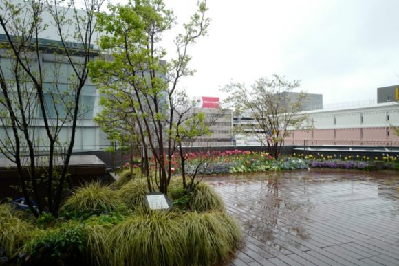 こちらは4階の美容室TOKIO gardenから見える景色（あいにくの雨ですが）。