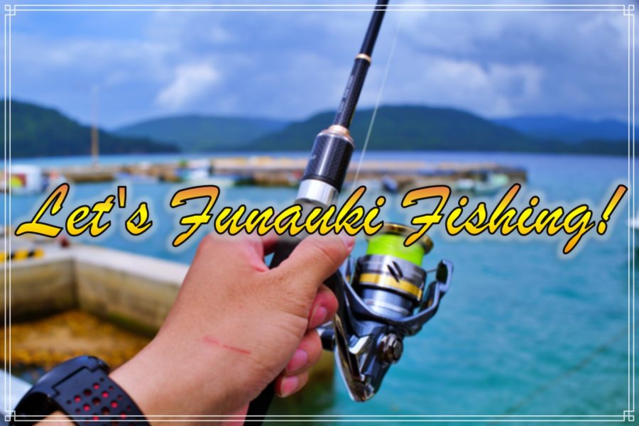 西表島 船浮港の釣りスポット 魚種は 秘境感あふれる集落の釣行