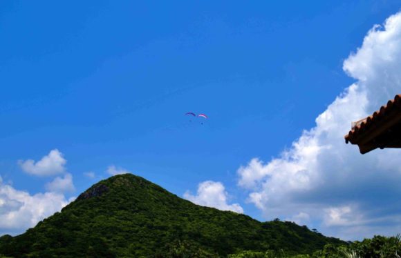 上を見ると2組のパラグライダーが飛んでる。野底岳から飛んだのかな？
