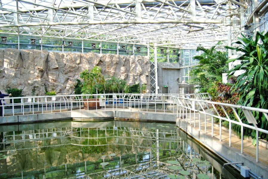 雨でもokな調布の遊び場 神代植物公園 大温室は満足度が高い