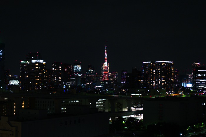 遠くから見る東京タワーもいいですね。