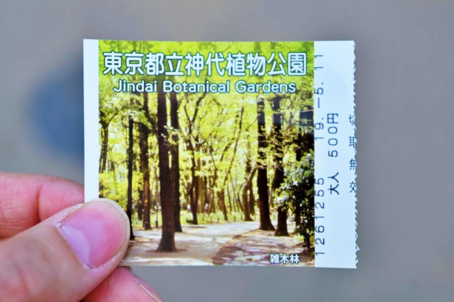 2019年5月11日は新緑の雑木林。
