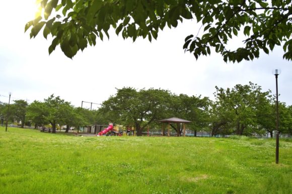 ベンチとテーブルがありノマドに最適な川崎区桜川公園 紫陽花 猫も ベンチとテーブルがありノマドに最適な川崎区桜川公園 紫陽花 猫も