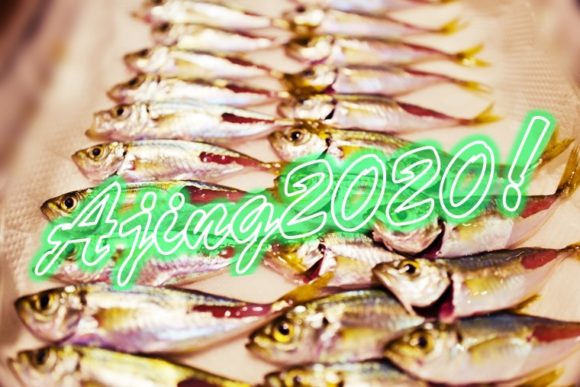 2020年千葉県内房アジングの釣果 穴場スポットで黄金鯵を狙え
