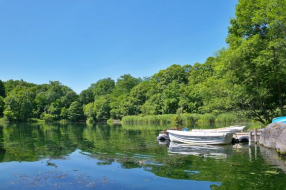 鳥沼公園の沼とボート。