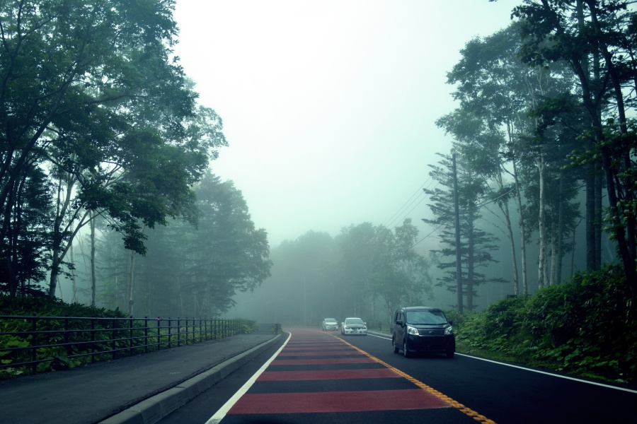 もやもや霧が凄い支笏湖への道。