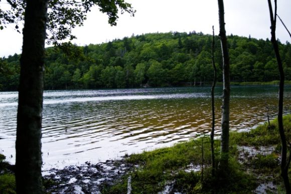 足寄 オンネトー ミステリアスな湖の遊歩道を散策 アクセスは