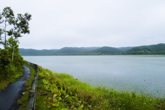 周囲約5キロの小さな湖・達古武沼 （たっこぶぬま ）