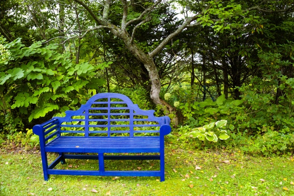 印象的なデザインの青いベンチ。庭に似合っています。
