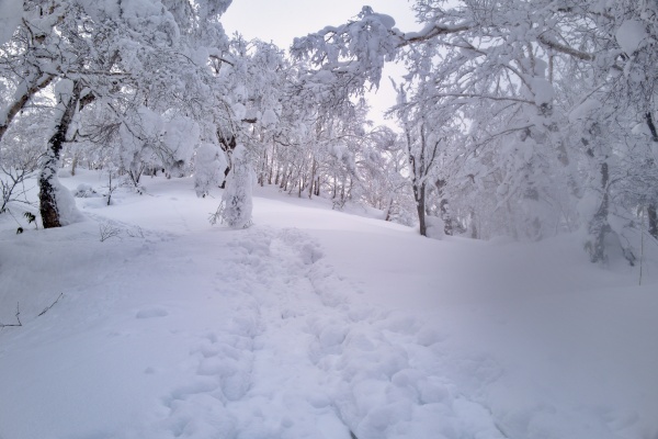 12月札幌岳はおすすめできぬ冬山登山 スノーシューで挑んだ結果は
