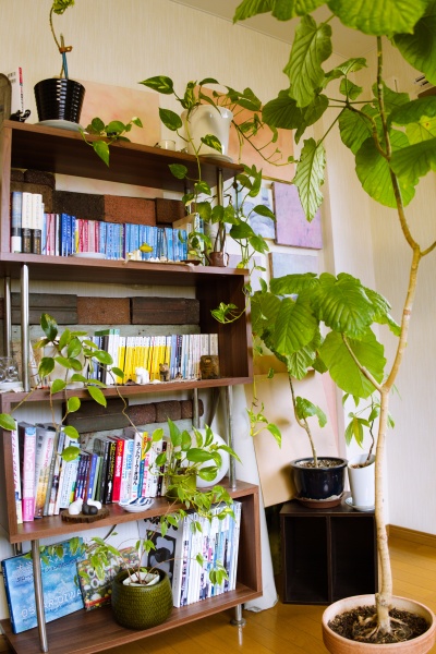 文庫本や雑誌、観葉植物など壁際へおいてシャットアウト。