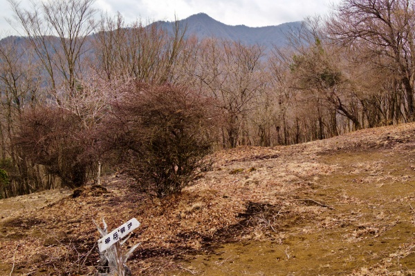 富士急バスで愛鷹山 越前岳 黒岳 呼子岳へ 登山コースやレベルは