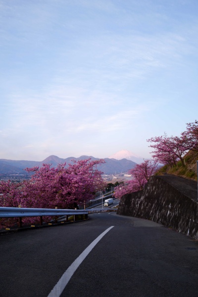 西平畑公園への道は登り坂が続く。写真中央には富士山！