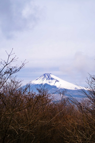 よく富士山が見えます！