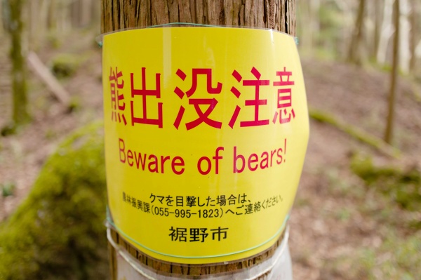 熊恐い…