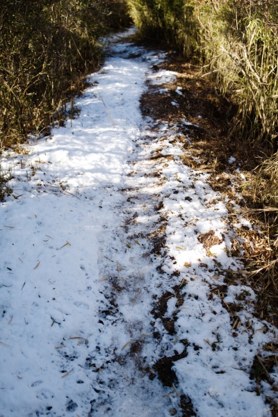 僅かな雪道を歩く。
