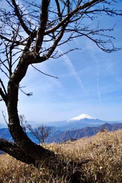 絵になるなぁ、富士山。