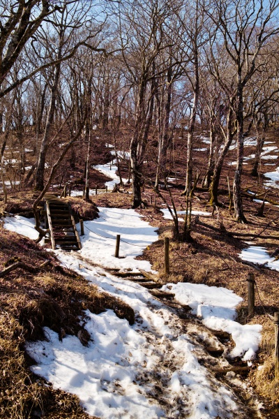 雪道が残る坂道。