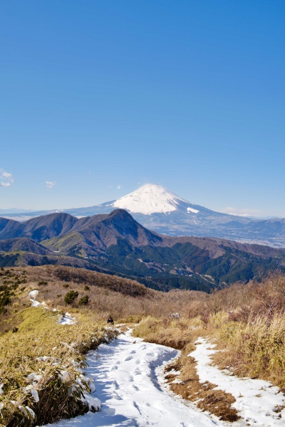 富士山の手前のこんもりした山が金時山！明神ヶ岳から3時間かかります