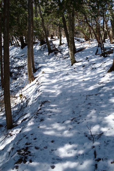 歩きづらい雪道を登る。