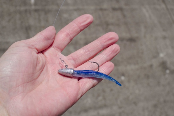 3月の伊豆大島釣りブログ 1泊2日レンタカー車中泊で巡った釣果