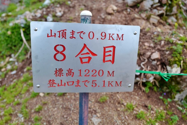 バスと電車で行く百名山 伊吹山を登山 アクセス 日帰り温泉情報