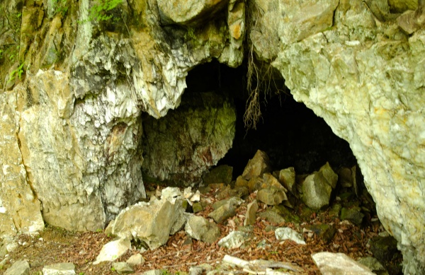 道迷いの結果、三富鉱山のトンネル？ぽいのを見つけた。