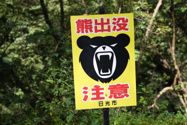 熊出没注意！