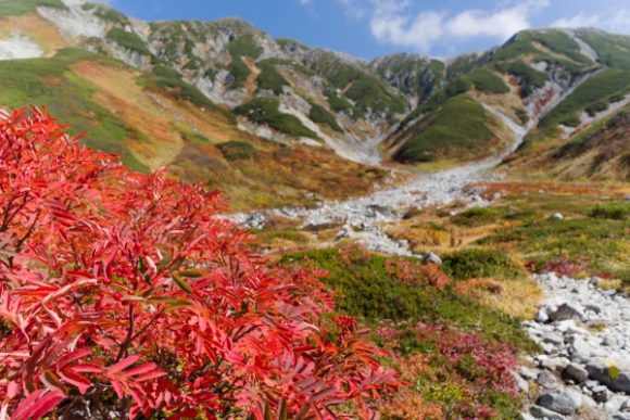 立山連峰と紅葉