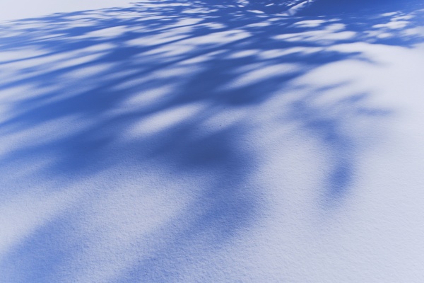 雪原に伸びる影も抽象画のようだ。