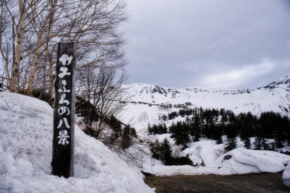 残雪期、凌雲閣から富良野岳を眺める。