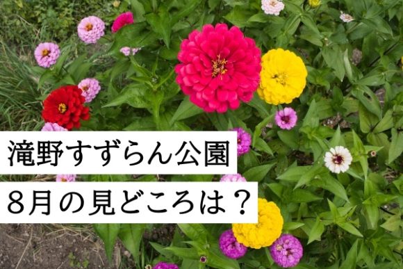 植物 ガーデニング ヒコトピ