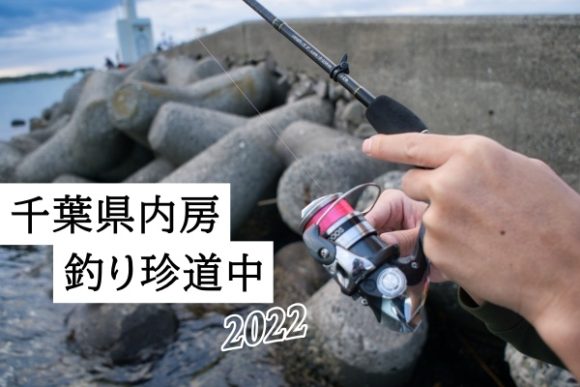 千葉県釣りブログ 22年10月の堤防釣り トラブル発生も