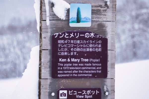 ケンとメリーの木の名の由来