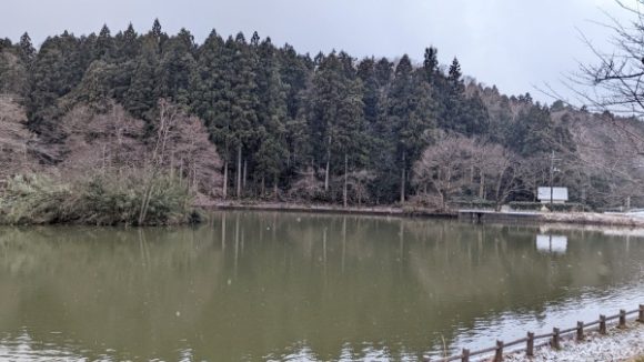 大きな池もありました。トレランにおすすめの公園