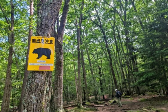 登山道にある熊注意の標識