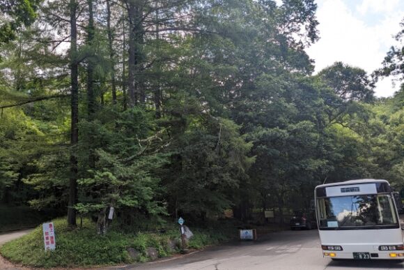 私は韮崎駅からバスで瑞牆山荘下車。