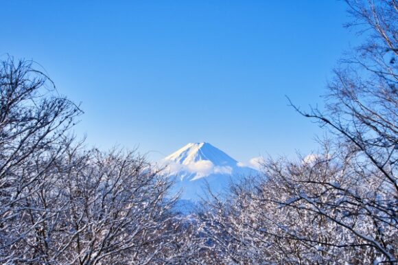 富士見荘から富士山を見やる。