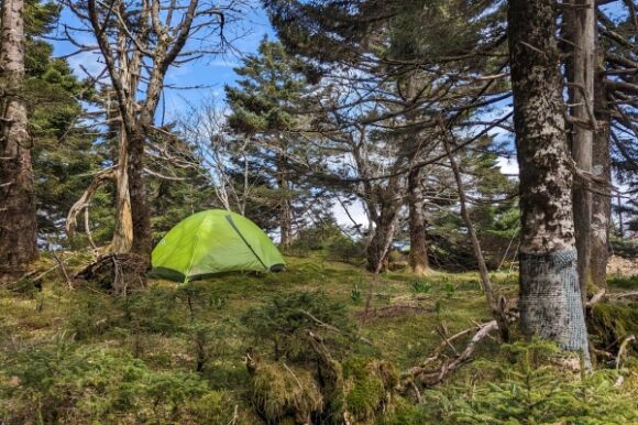 きれいな苔が多いテント場なので、芝生の上に設置したいところだ