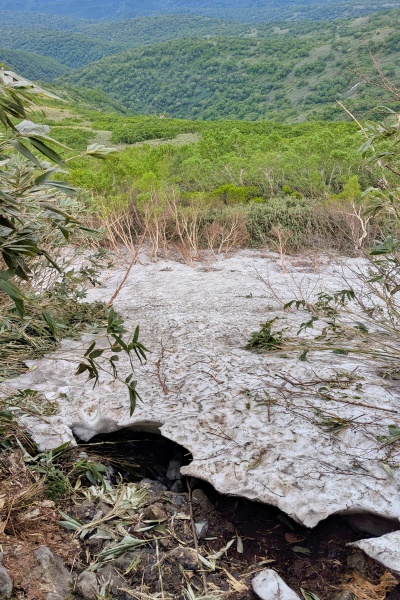 雪渓の切れ目は踏み抜き注意。ツボ足で慎重に登った