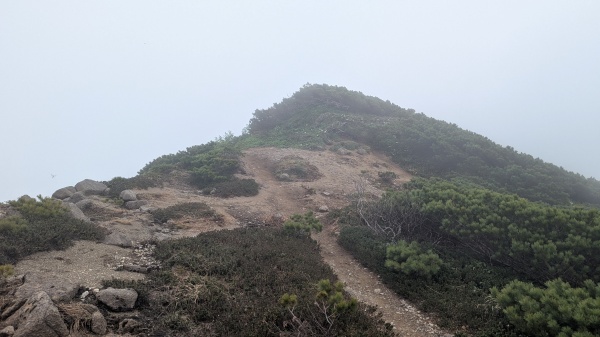 戸蔦別岳のテント場かな？