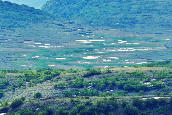 雨竜沼湿原の池塘。湿原から暑寒別岳へは縦走できず立ち入り禁止となってる