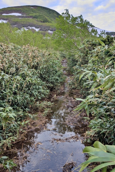 渡渉もあってややうんざり(^^;)端を進む