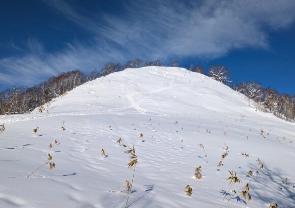 真っ白なオコタンペ山